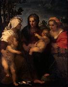 Andrea del Sarto Elisabeth and John the Baptist china oil painting artist